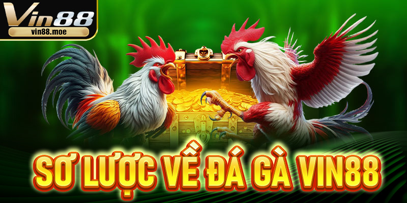 Sơ lược về đá gà Vin88