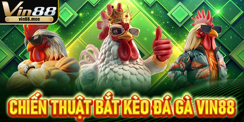 Gợi ý chiến thuật bắt kèo chuẩn cùng đá gà Vin88